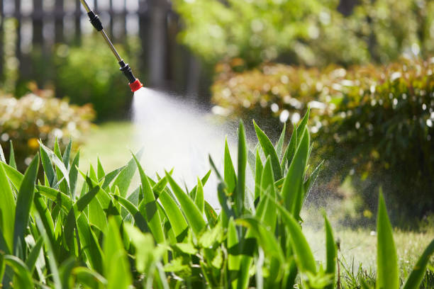 Tamper-Resistant Bait Stations for Rodents in Coopertown