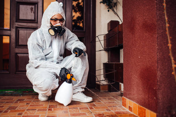 Attic and Crawl Space Rodent Treatment in Coopertown