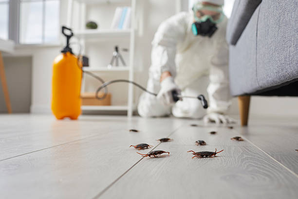 Commercial Rodent Management in Coopertown